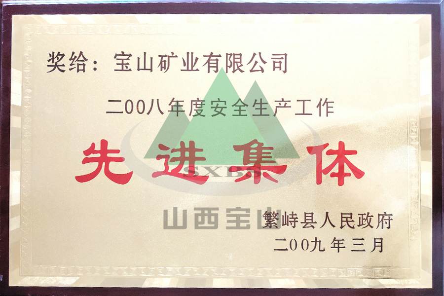 2008年度 先进集體(tǐ)