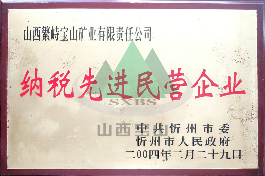 纳税先进民(mín)营企业