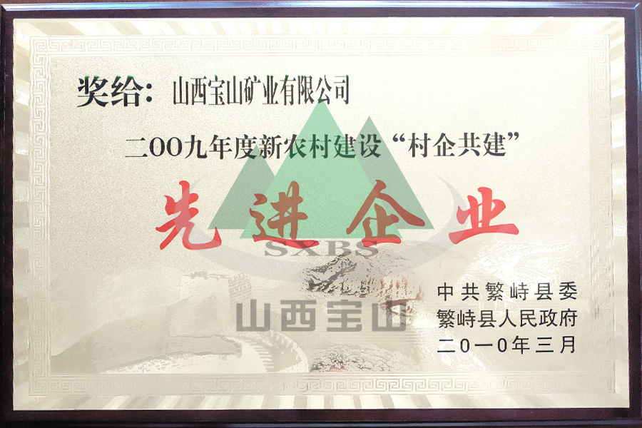 2009年度 先进企业