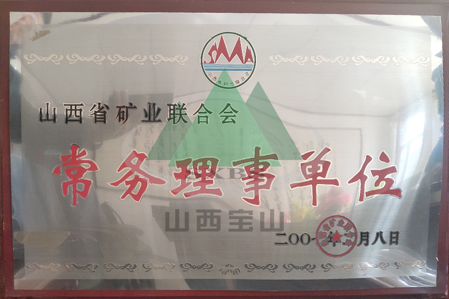 常務(wù)理(lǐ)事单位