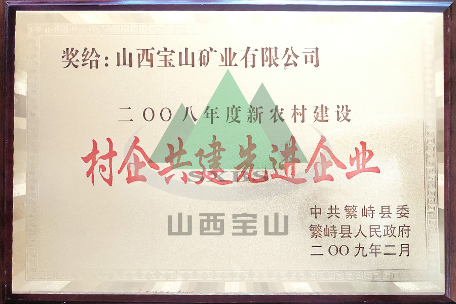 2008年度 村企共建先进企业