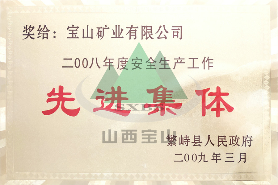 2008年度先进集體(tǐ)