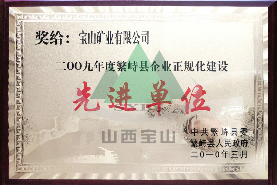 2009年度 先进单位