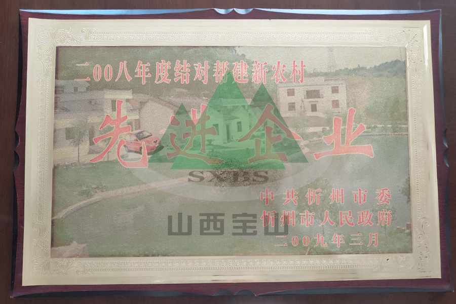 2008年度 结对帮建新(xīn)农村先进企业